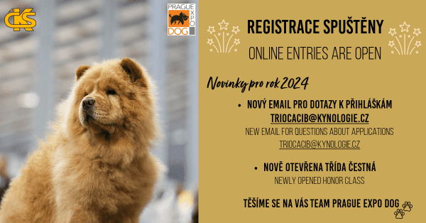 Spuštění přihlášek 2024